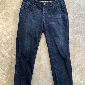 Wit & Wisdom Ab-Solution Girlfriend Raw Hem Ankle Skinny Jeans 16W